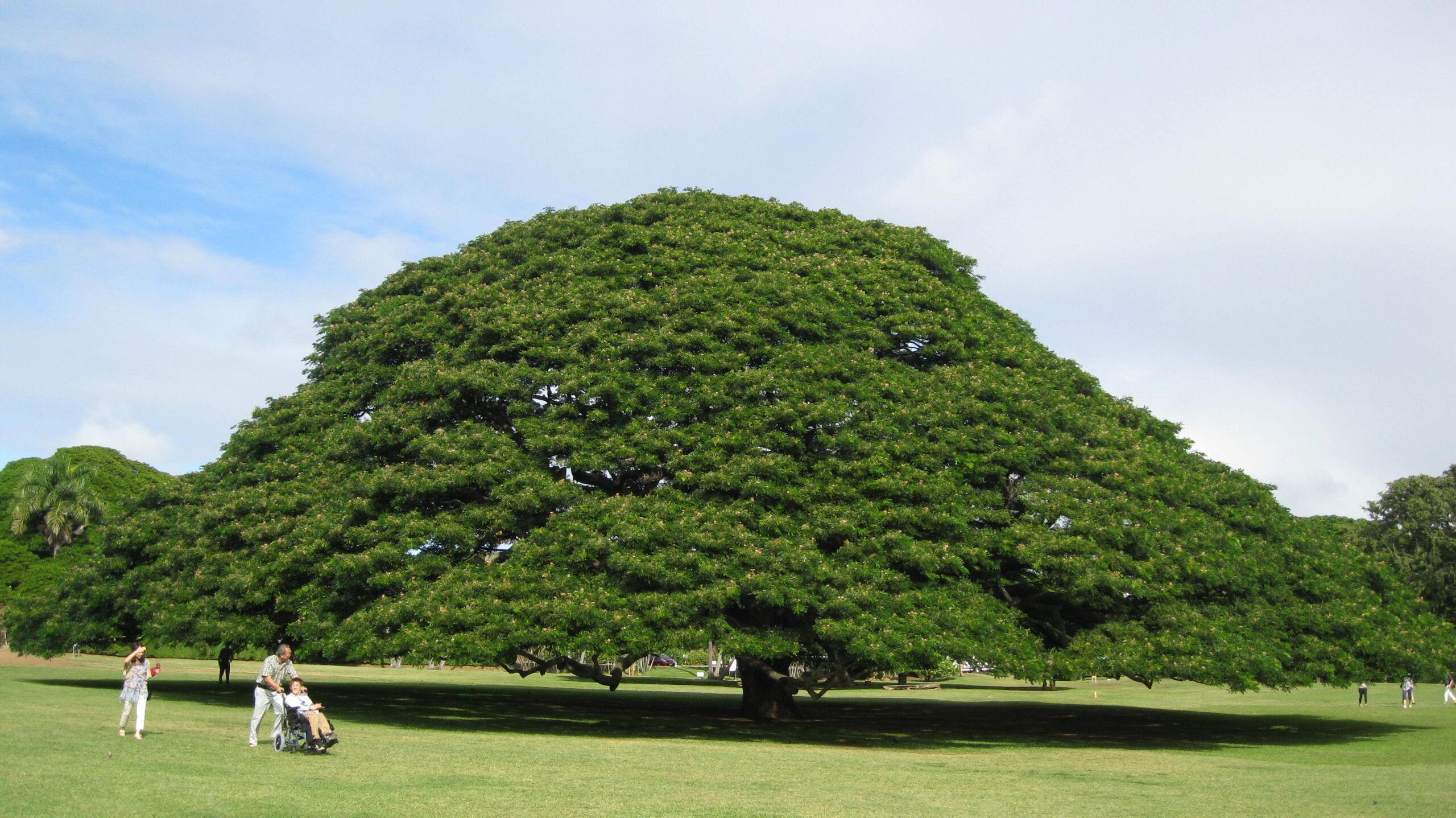 お役立ち情報ページを開設しました